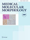 Medical Molecular Morphology杂志封面